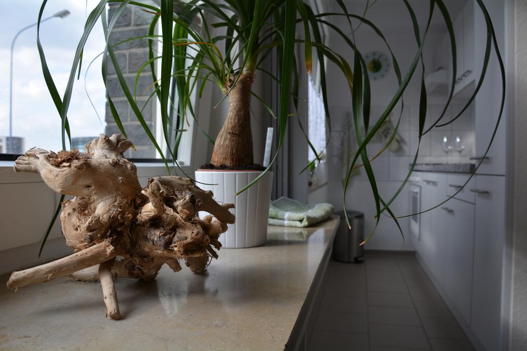 Appartement Innenstadt Essen